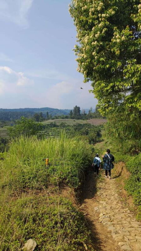 Jakarta to Bogor: Luhur Waterfall and Lake Lido Day Trip - Good To Know