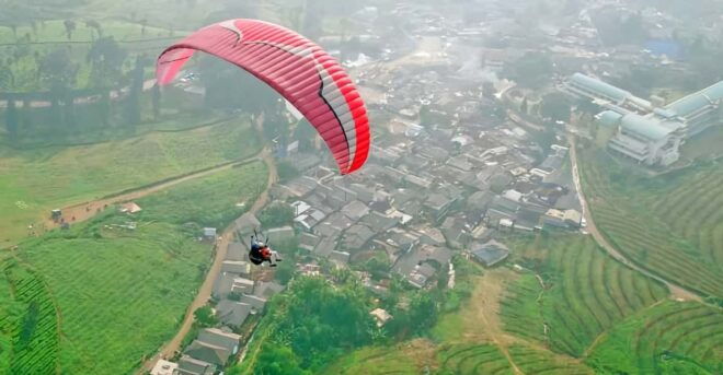 Jakarta Tour: Paragliding Top Mountain & Tea Plantation - Tea Plantation Exploration