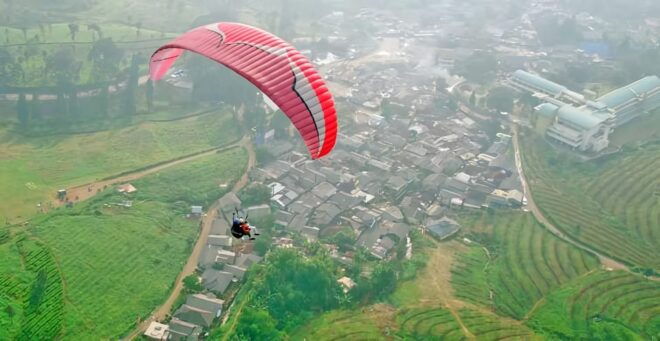 Jakarta Tour: Paragliding Top Mountain & Tea Plantation - Inclusions of the Tour