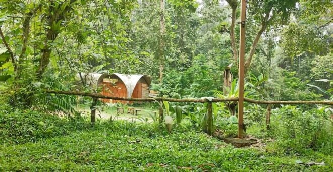 Jakarta Tour: Situ Gunung Waterfall & Suspension Bridge - Inclusions and Benefits