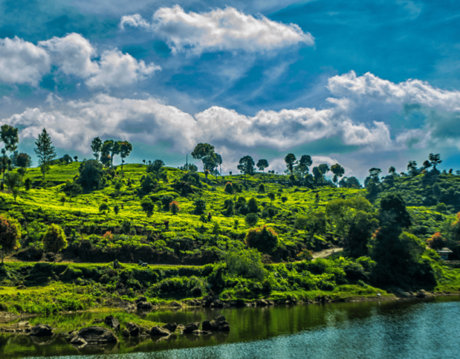Jakarta: Volcanic White Crater Lakes & Tea Plantations Tour - Leisure at Patenggang Lake