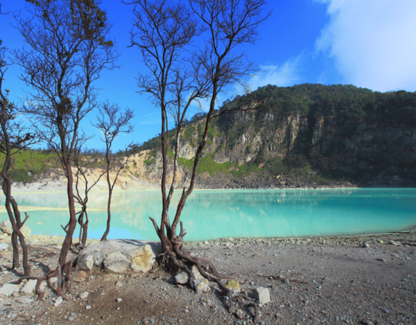Jakarta: Volcanic White Crater Lakes & Tea Plantations Tour - Important Travel Information