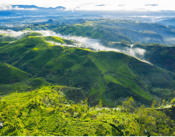 Jakarta: Volcanic White Crater Lakes & Tea Plantations Tour - Booking and Cancellation Policy