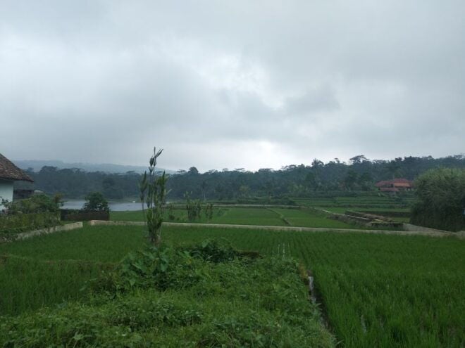 Jakarta: Volcano, Hot Spring, Tea Factory& Coffee Luwak Tour - Tour Information and Location