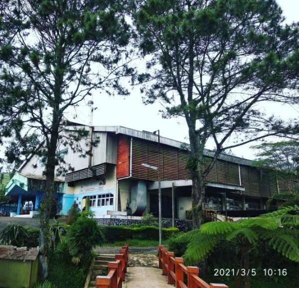 Jakarta: Volcano, Hot Spring, Tea Factory& Coffee Luwak Tour - Background