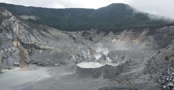 Jakarta: Volcano, Hot Spring, Tea Factory& Coffee Luwak Tour - Common Questions