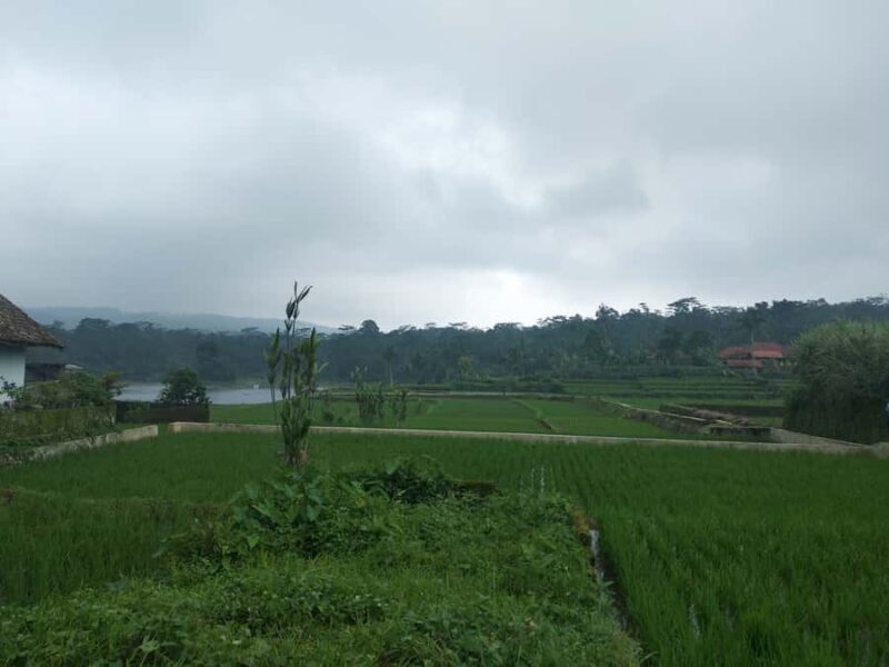 Jakarta :Volcano, HotSpring, Tea Factory, RiceField, &Coffee - Practical Details & Tips