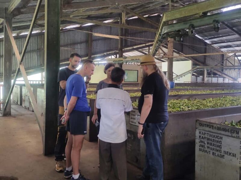 Jakarta :Volcano, HotSpring, Tea Factory, RiceField, &Coffee - Final Thoughts