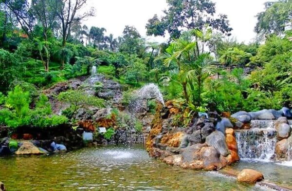 Jakarta: Volcano, Indonesian Coffee Production, Hot Spring - Relaxing at Hot Springs