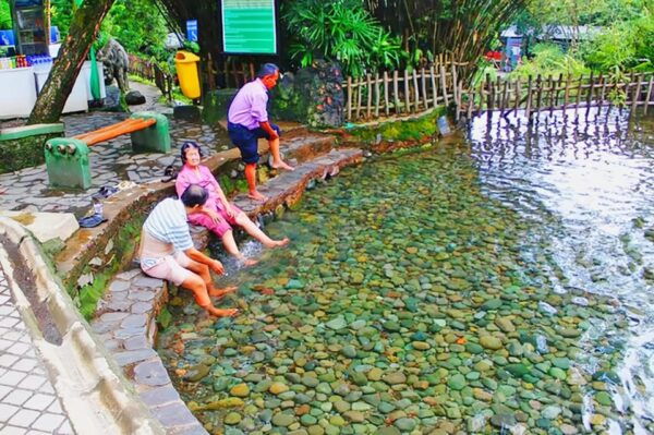 Jakarta: Volcano, Indonesian Coffee Production, Hot Spring - Customer Experiences and Ratings