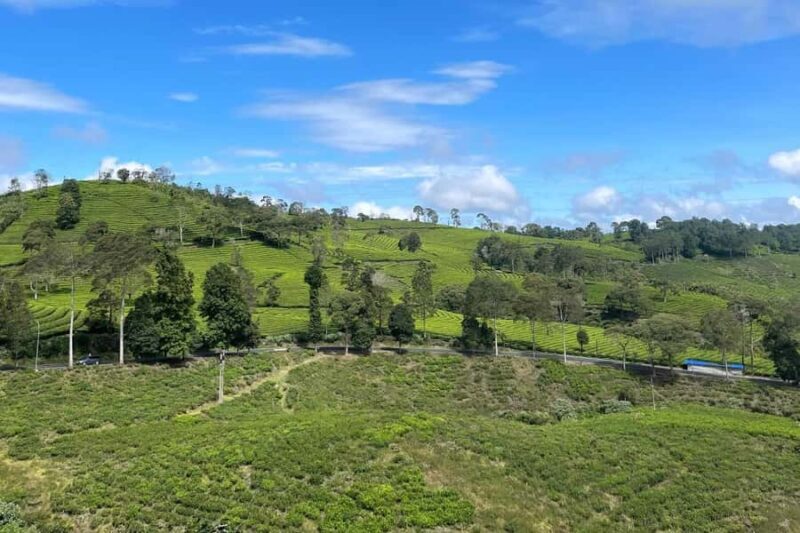 Jakarta: Volcano, Suspension Bridge and Hot Spring - An In-Depth Look at the Tour Experience