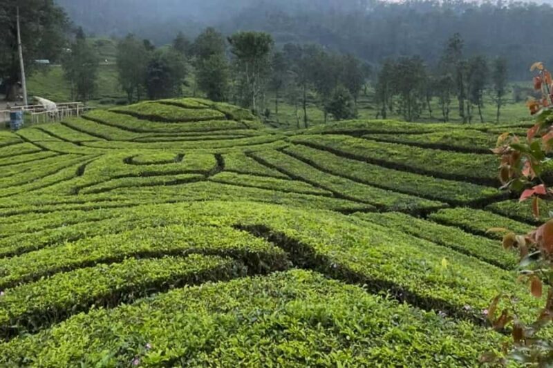 Jakarta: Volcano, Suspension Bridge and Hot Spring - The Sum Up