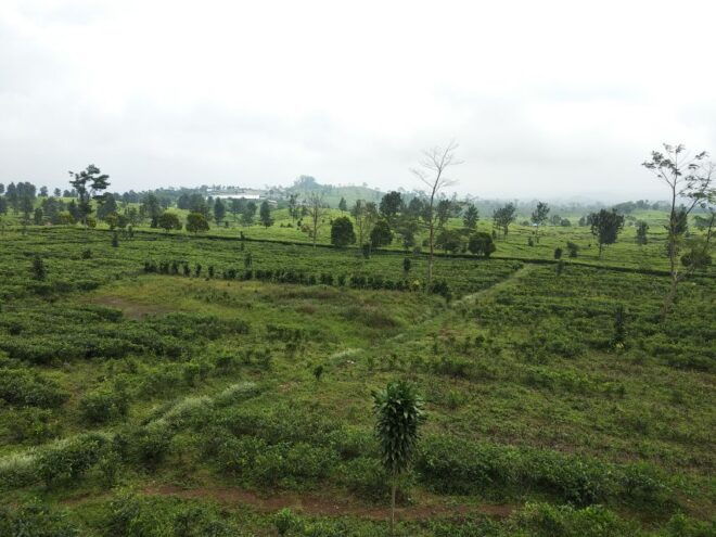 Jakarta: Volcano, Waterfall &Beautiful Local Village Tour - Local Village Experience