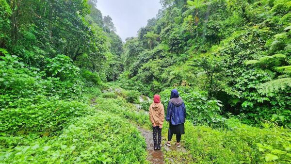 Jakarta: Waterfall, Camping Ground, Volcano 3 Days 2 Nights - Accommodation Details