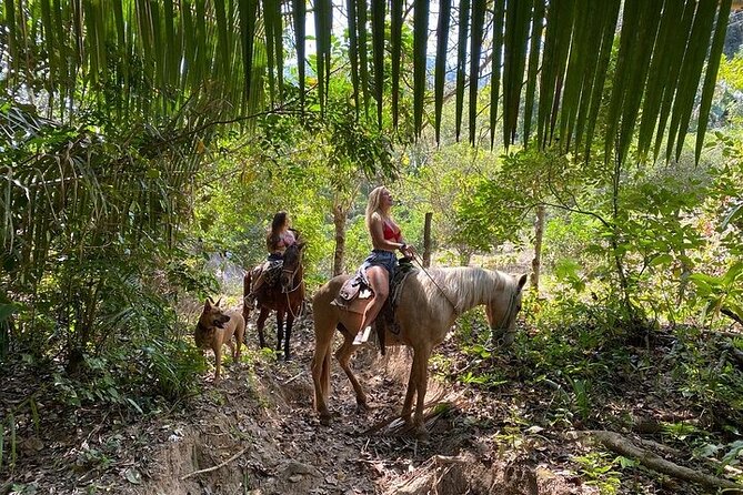 Jalisco Private Horseback Riding Tour  - Mismaloya - Customize Your Private Horseback Riding Experience