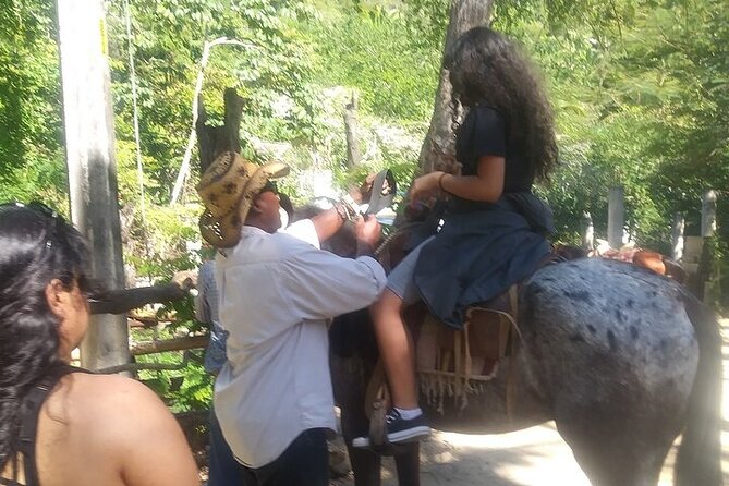 Jalisco Private Horseback Riding Tour  - Mismaloya - Cross River Valleys and Admire the Scenic Beauty