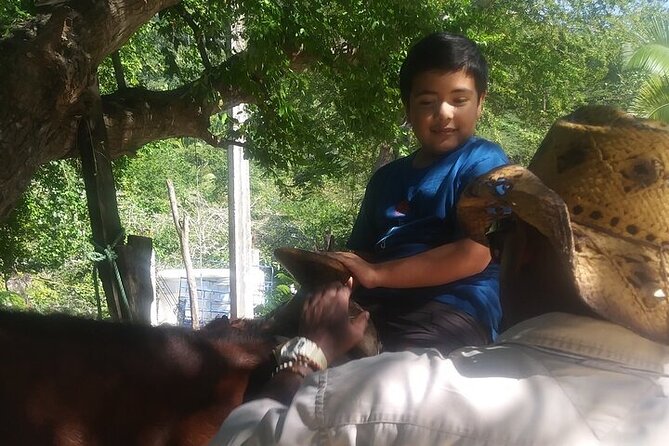 Jalisco Private Horseback Riding Tour  - Mismaloya - Included Benefits and Refund Policy