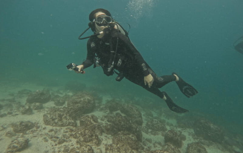 Jalisco: Scuba Diving at Los Arcos for Certified Divers - Safety and Preparation Tips