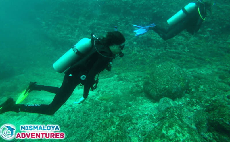 Jalisco: Scuba Diving at Los Arcos for Certified Divers - Who Will Enjoy This Tour?