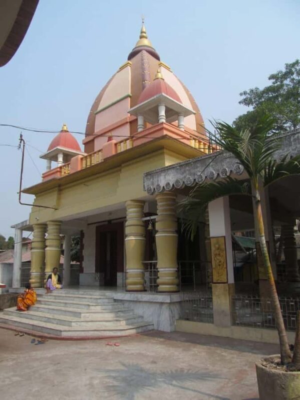 Jalpaiguri: Full-Day Private Tour with Tea Estate Visit - An In-Depth Look at the Tour