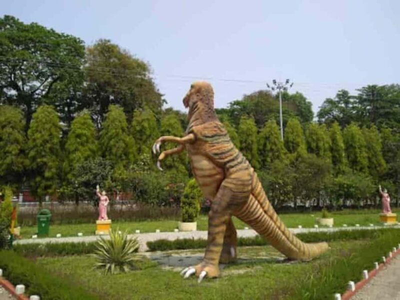 Jalpaiguri: Full-Day Private Tour with Tea Estate Visit - Transportation & Practicalities