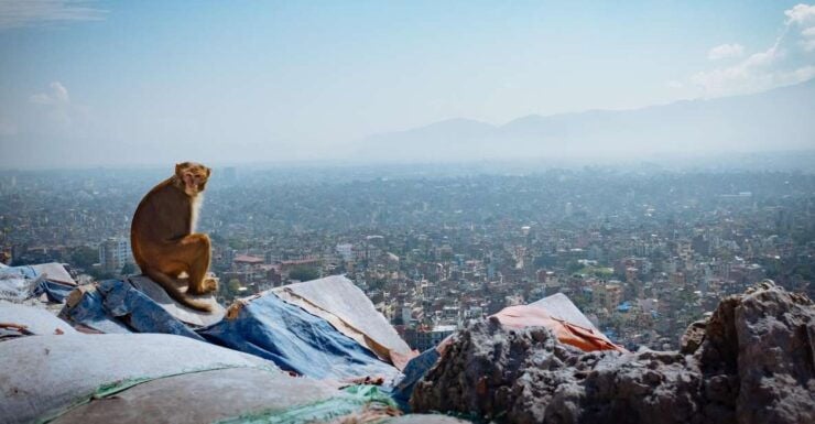 Jamacho-A Day Hike - Hiking Duration and Schedule