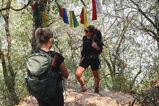 Jamacho Day Hike Scenic Forest Trail Above Kathmandu - What to Expect From the Tour