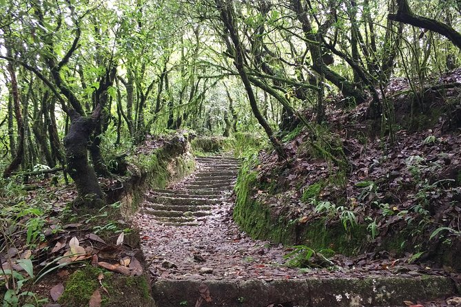 Jamacho Monastery Day Hiking From Kathmandu - The Sum Up