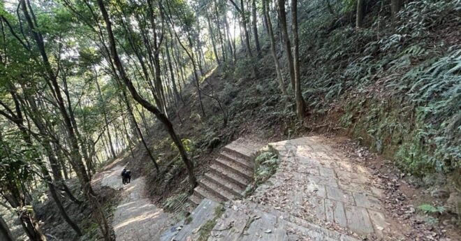 Jamacho Nagarjun : Day Hiking Around Kathmandu - Pricing and Booking Information