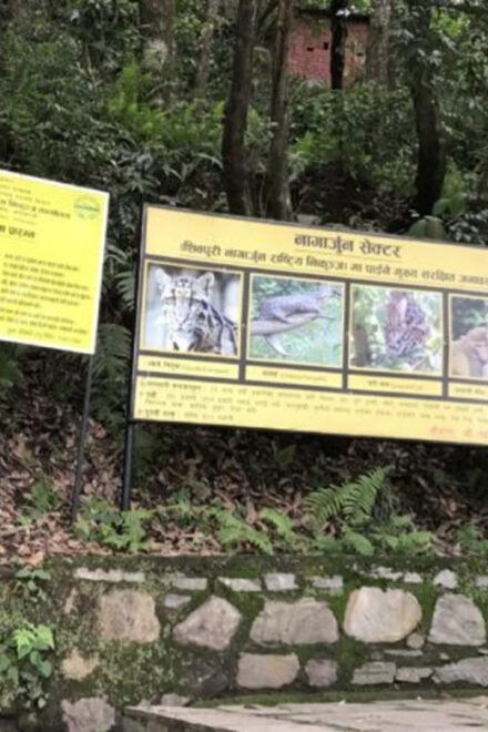 Jamacho Nagarjun : Day Hiking Around Kathmandu - Important Information for Participants