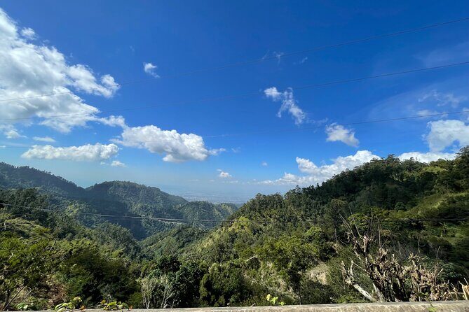 Jamaica Airport Transfers and Tours - Who Should Book This Tour?