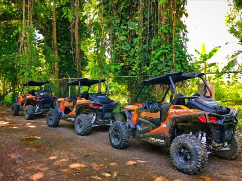 Jamaica: ATV, River Rafting & Blue Hole Tour from Ocho Rios - Good To Know