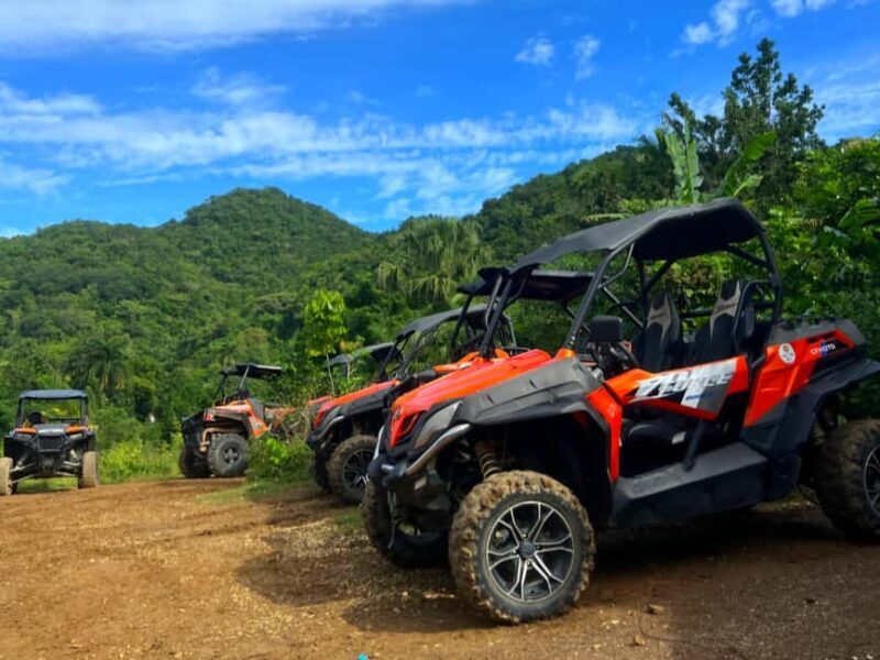 Jamaica: ATV, River Rafting & Blue Hole Tour from Ocho Rios - Introduction: What Makes This Tour Special?