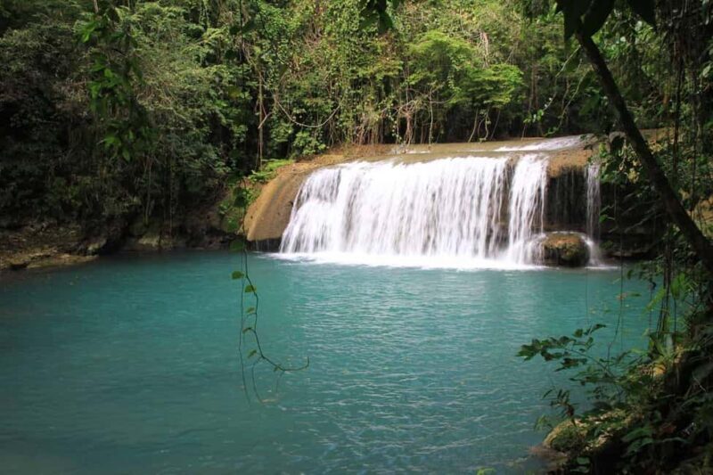 Jamaica: Black River Safari Guided Tour and YS Falls Tour - The Sum Up