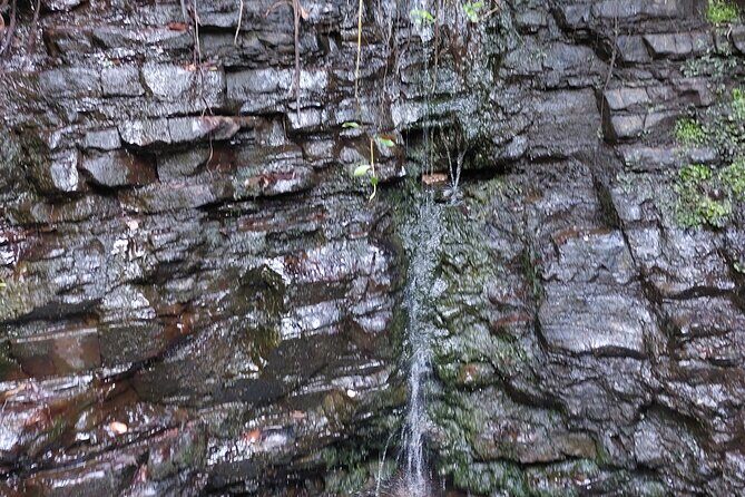 Jamaica Blue Mountain Coffee Tour and sightseeing experience - Who Should Consider This Tour?