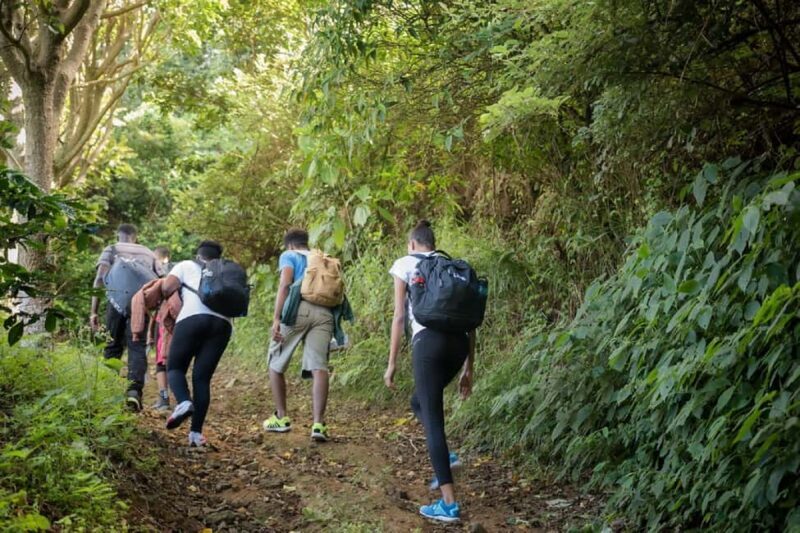 Jamaica: Blue Mountain Peak Hiking Tour - Introduction