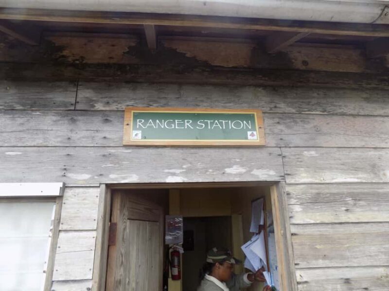 Jamaica: Blue Mountain Peak Hiking Tour - What to Expect in Terms of Transportation, Timing, and Group Size