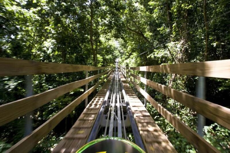 Jamaica Bobsled and Zip Line Adventure Tour - The Itinerary in Detail