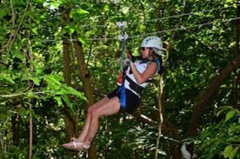 Jamaica Bobsled and Zip Line Adventure Tour - Practical Details and Considerations