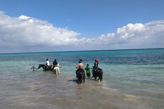 Jamaica Horseback Riding Experience Missile Green Island Hanover - FAQ