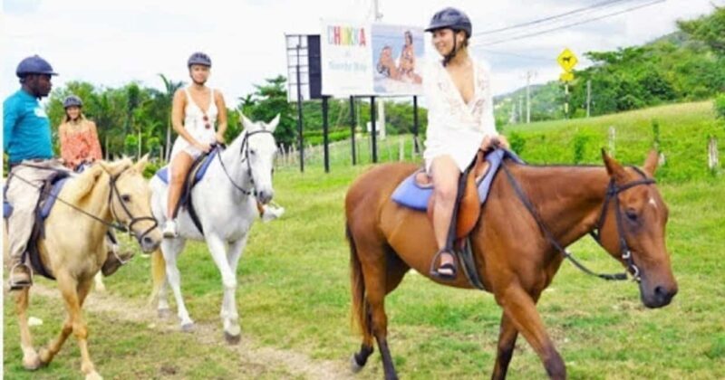 Jamaica: Private Horseback Ride and Swim in the Sea - Good To Know