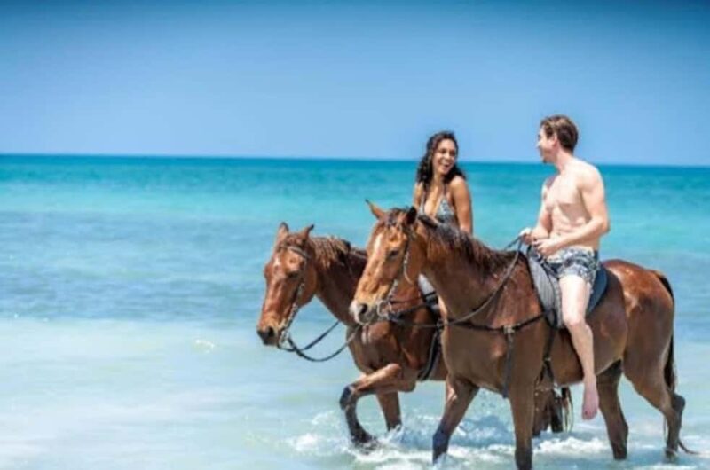 Jamaica: Private Horseback Ride and Swim in the Sea - The Itinerary in Detail