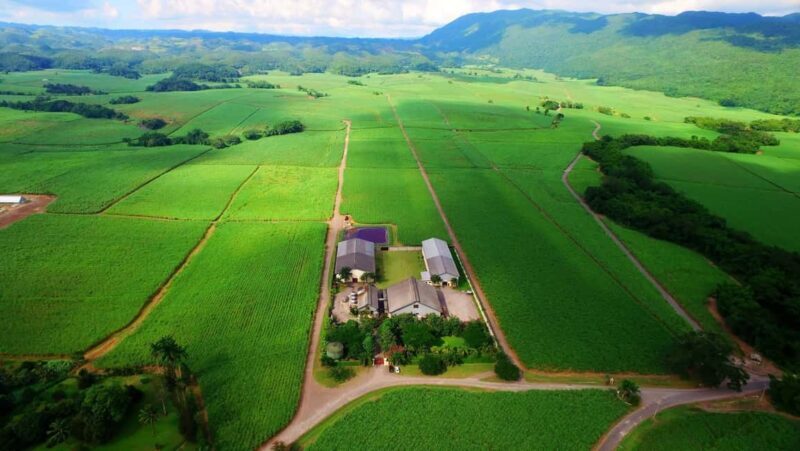 Jamaica: Worthy Park Rum Estate - What to Expect on the Tour