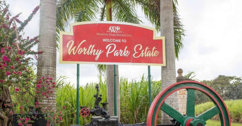 Jamaica: Worthy Park Rum Estate - The Experience: Pros and Cons