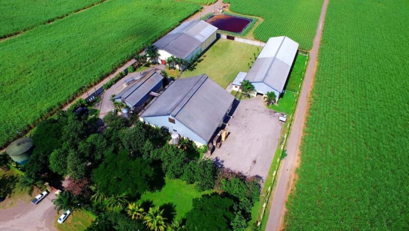 Jamaica: Worthy Park Rum Estate - The Value Breakdown: Is It Worth It?