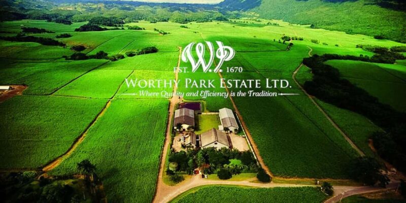 Jamaica: Worthy Park Rum Estate Tour - Good To Know
