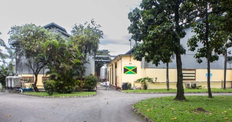 Jamaica: Worthy Park Rum Estate Tour - Who Should Book This Tour?