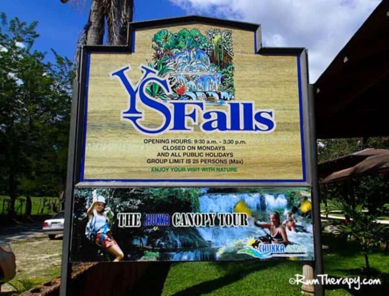 Jamaica: YS Falls and Black River Safari Tour - Good To Know