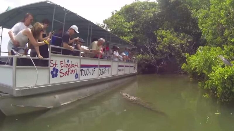 Jamaica: YS Falls and Black River Safari Tour - The Sum Up: Is This Tour Worth It?