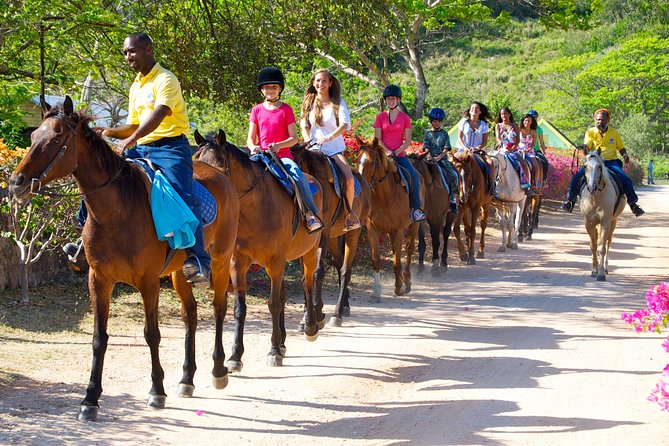 Jamaica Zipline and Horseback Ride N Swim Adventure Tour From Runaway Bay - Itinerary Highlights
